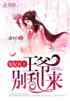 宠妃在上:王爷,别乱来!