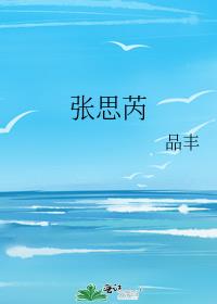 张思芮小说品丰讲的什么