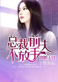 离婚无效:总裁前夫不放手 小说