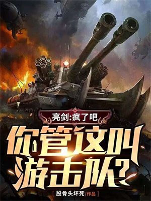 亮剑疯了吧你管这叫游击队TXT下载