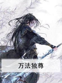万法独尊 安一原