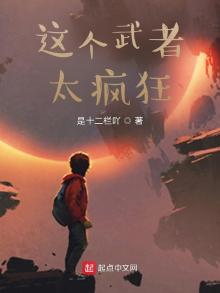 这个武者太疯狂起点
