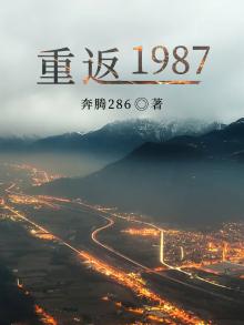 重返1987全文免费听书小说