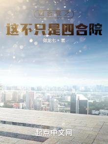 四合院之这不只是四合院 小说
