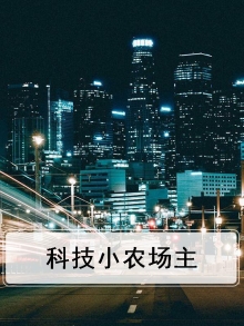 科技小农 小说