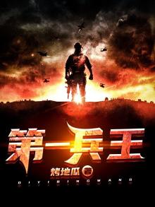第一兵王于枫小说全集