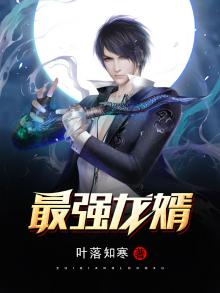 最强龙婿叶辰笔趣阁全文免费