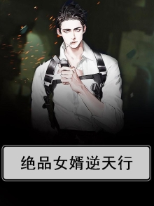 绝品女婿免费全文阅读