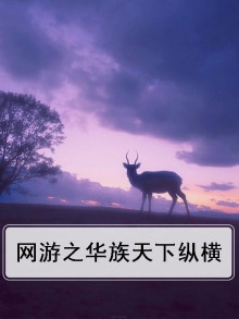 网游之华族天下纵横
