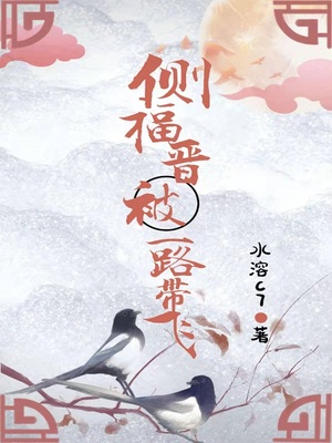 侧福晋小说