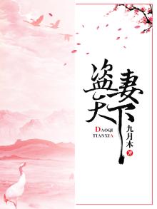 盗妻天下