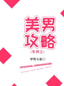系统之美男攻略