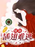 情劫:插翅难逃