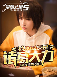 爱情公寓5:我的女友是诸葛大力! 小说