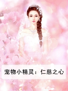 宠物小精灵之智者