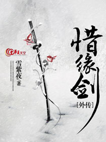 惜缘剑外传