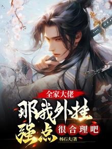 全家都是马甲的小说