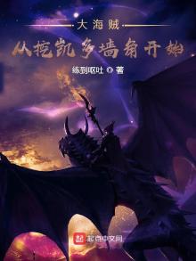 大海贼从挖凯多墙角开始百度云