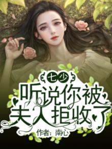 七少,听说你被夫人拒收了