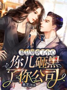 慕总说好不再见全文免费无弹窗