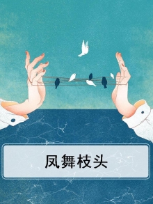 凤舞是啥