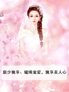 宸少独享:缱绻宠爱,独享美人心