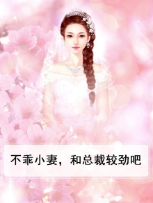 小妻不乖总裁温柔点免费阅读全文