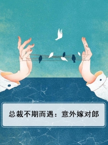 总裁不期而遇:意外嫁对郎