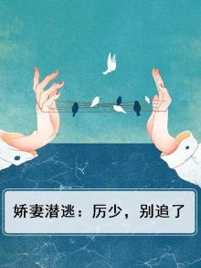 娇妻重生 厉少宠妻