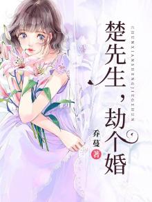 楚先生小说
