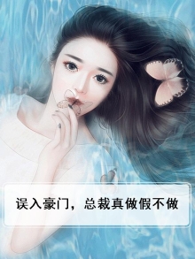 总裁入赘后26