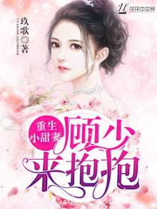 重生甜妻顾少慢慢追 小说