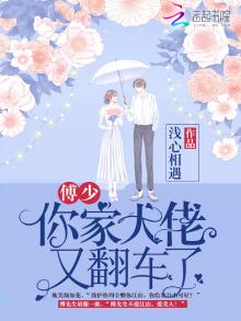 傅少您夫人又凶残了免费阅读