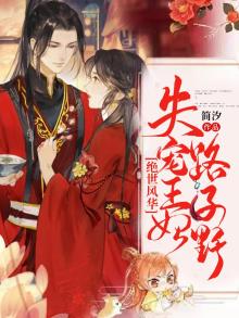 绝世风华:失宠王妃路子野
