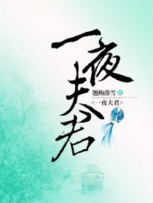 一夜夫君