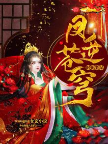 凤逆苍穹顾浔小说免费阅读