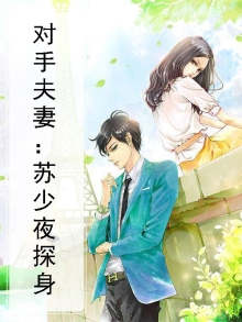 对手夫妻：苏少夜探身