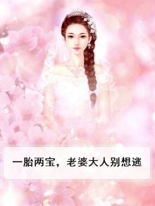一胎两宝,老婆大人别想逃
