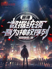 赛博：数据统领，吾为神权序列
