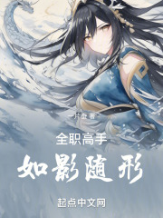 全职高手:如影随形