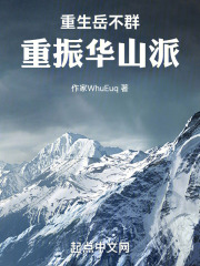 重生岳不群,重振华山派阅读