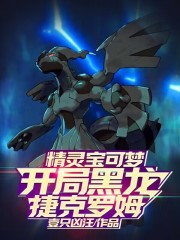 精灵宝可梦之开局一只快龙