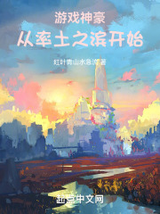 游戏神豪从率土之滨开始小说