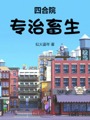 四合院做坏人的小说