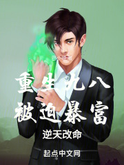 重生九八做首富