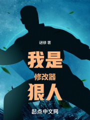 烧饼修改器