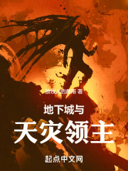 地下城与勇士灾难领域