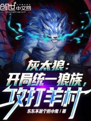 灰太狼带领狼族进攻羊村