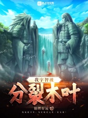 宇智波脱离木叶的小说