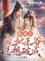《和离后王妃总是被求娶》